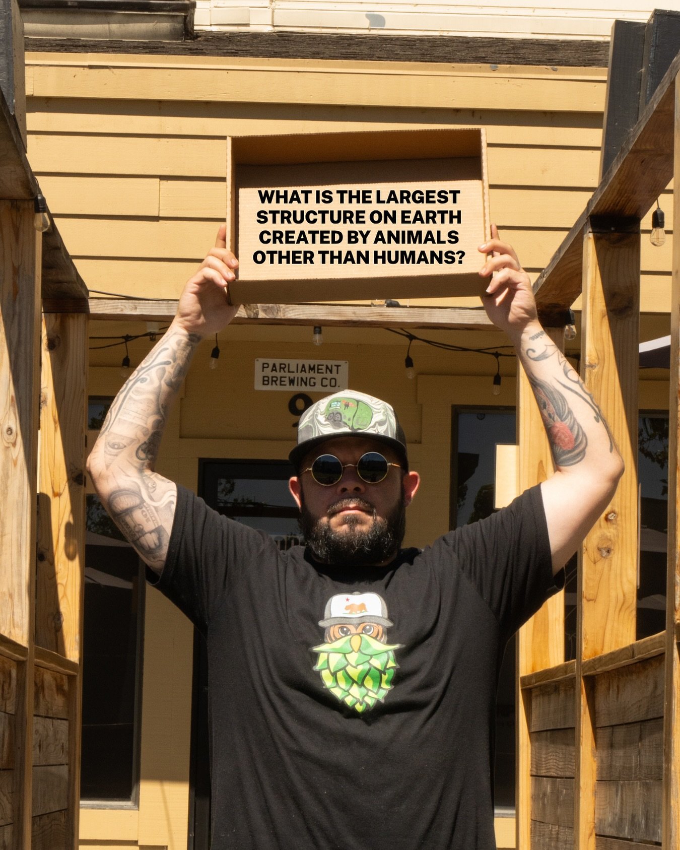 did you know that @thespot_foodtruck is run by two twin brothers, jason &amp; michael?

come down for wednesday night trivia and try some awesome food from the twins. we have 12 beers &amp; 3 seltzers on draft for you tonight. adam has some fun quest