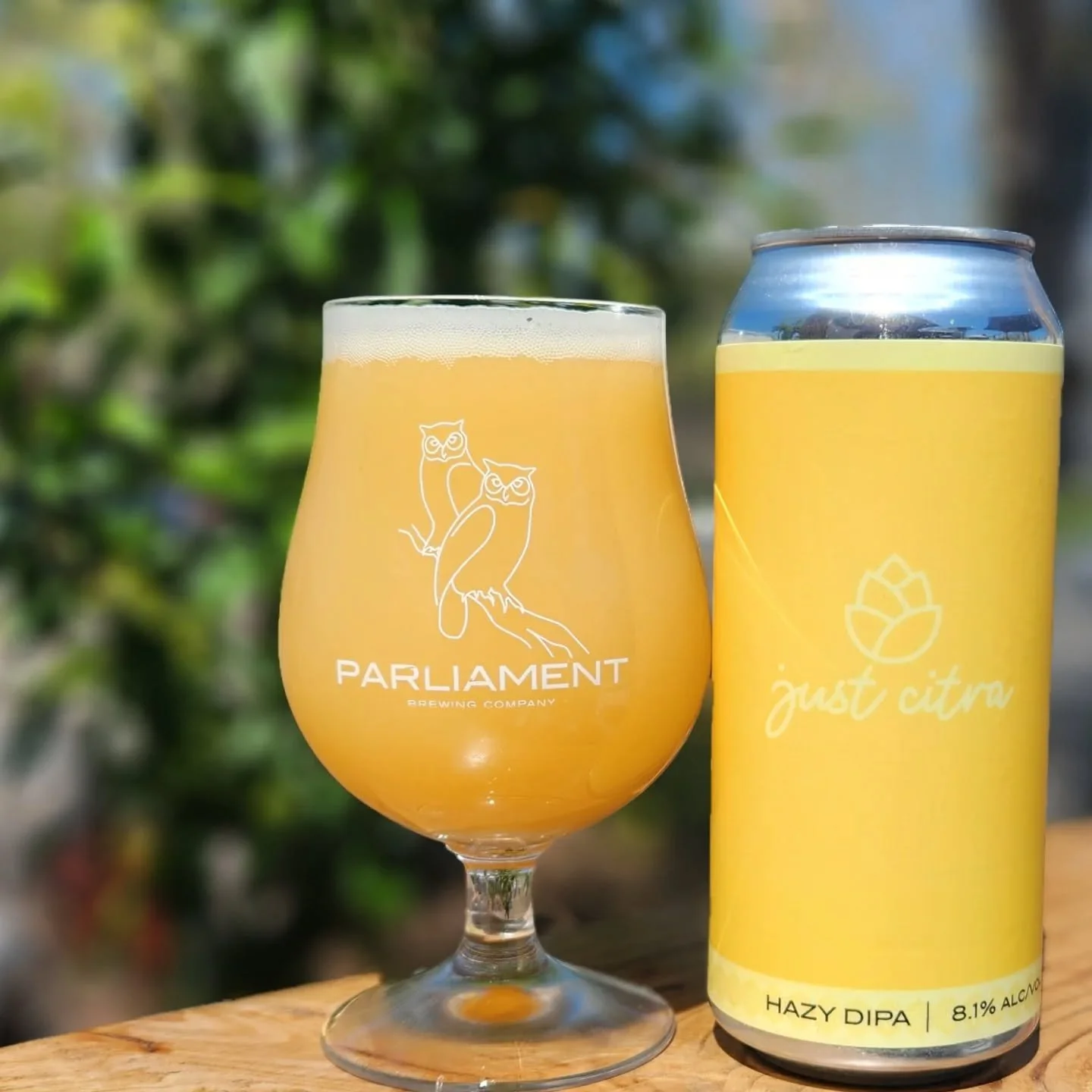 jc is back &amp; it's one of our staff's all-time favorites! you' have to come by and taste it for yourself to understand!

just citra is an 8.1% hazy double featuring, you guessed it, 100% citra hops. packed with notes of mango, citrusy dole whip, f