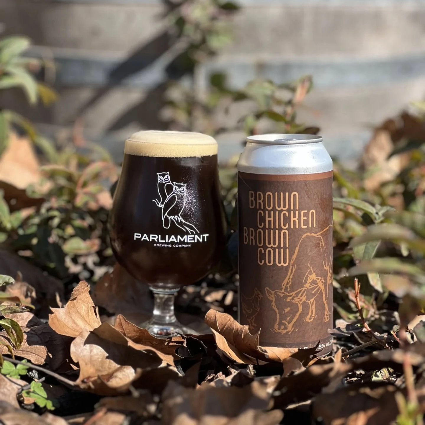 bcbc is back on draft! 🐔🐂

we finished packaging a fresh batch of brown chicken brown cow last week and are excited to tap it today. this wonderfully malt-forward american brown ale has just enough hops to balance out its nutty, toasty, and light