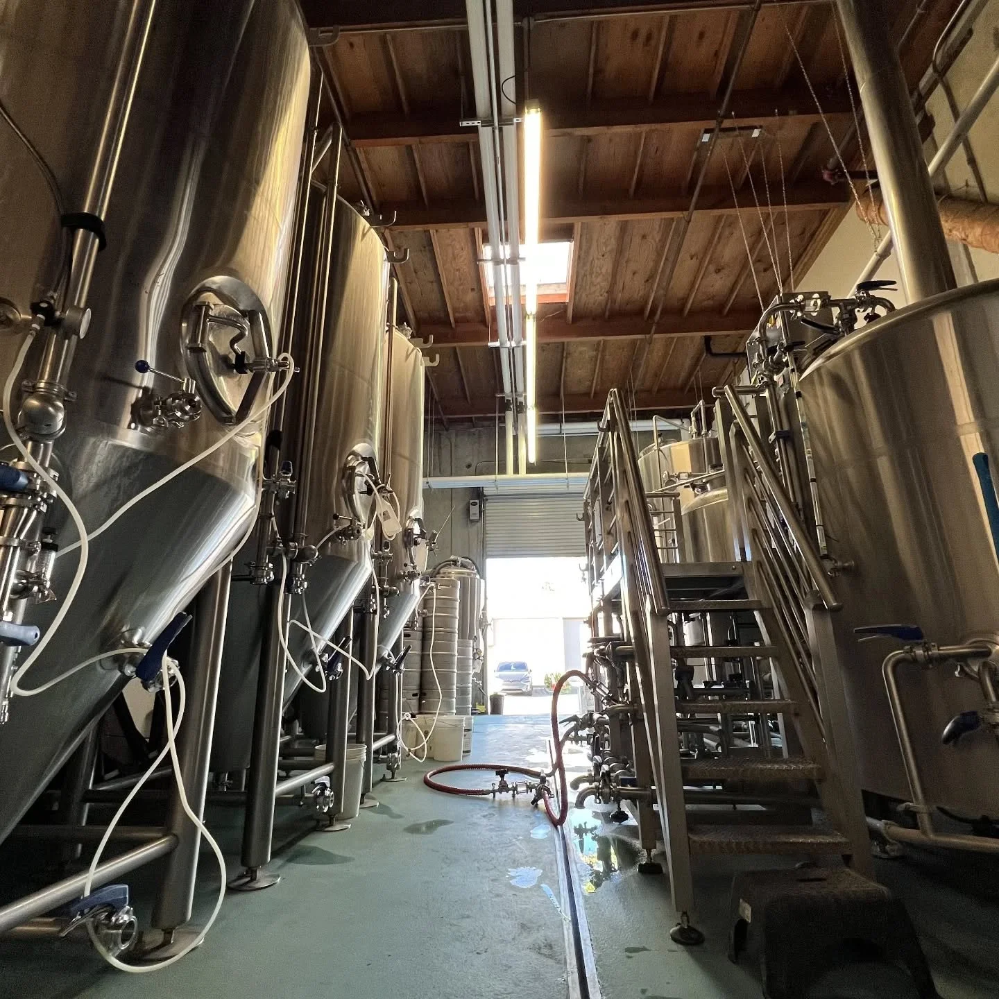 after yesterday's cheesesteak festivities, we're looking forward to a laid back sunday 😎

our brewhouse is sitting idle, but our front of house team is keeping the vibes alive in the taproom all day long. come by and join us this afternoon for a c