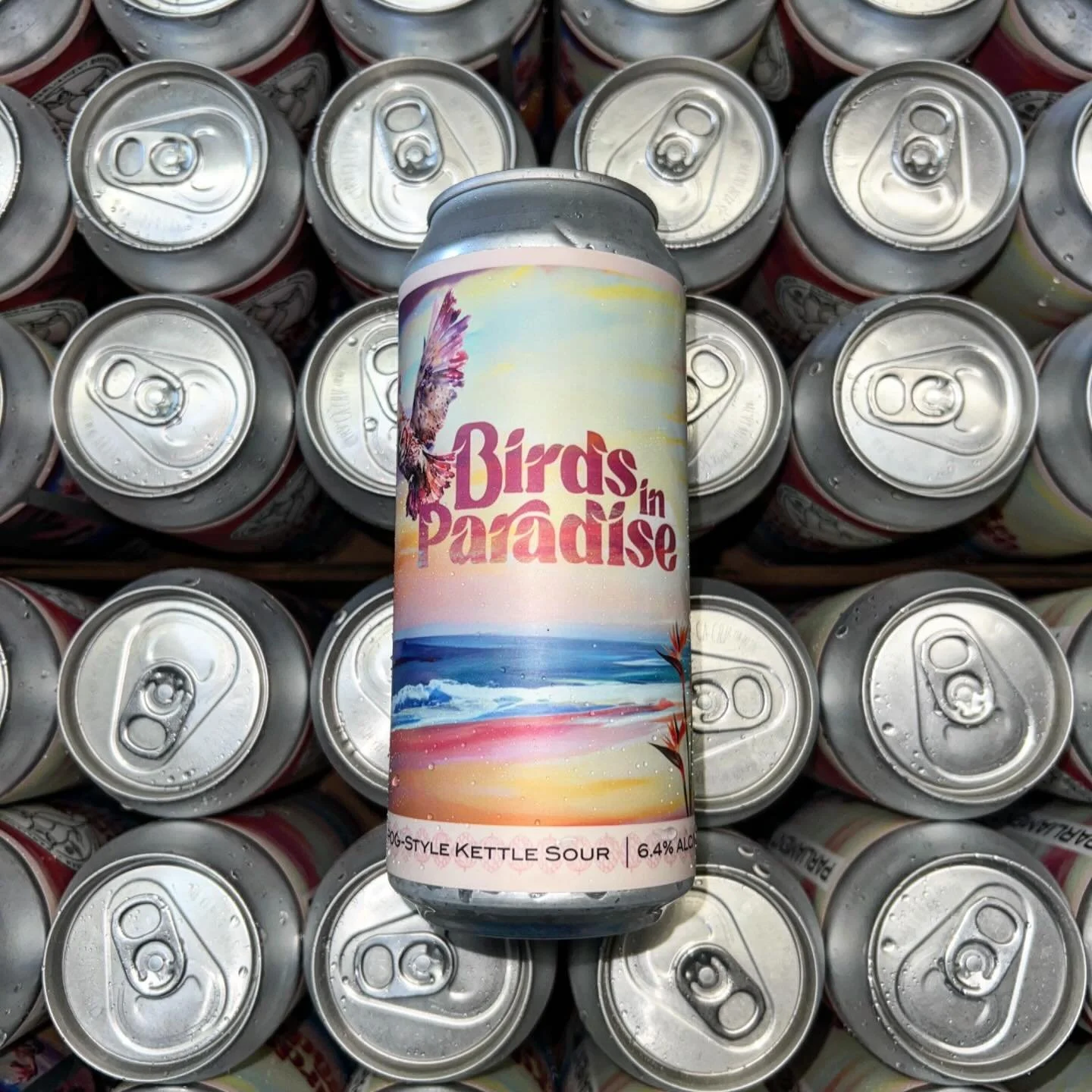 birds in paradise is back!

after a brief outage, our famous pog-style kettle sour is back on draft and in cans! we tapped a keg over the weekend, but with help from @thecanvan our production team just finished packaging in cans a few minutes ago!

t