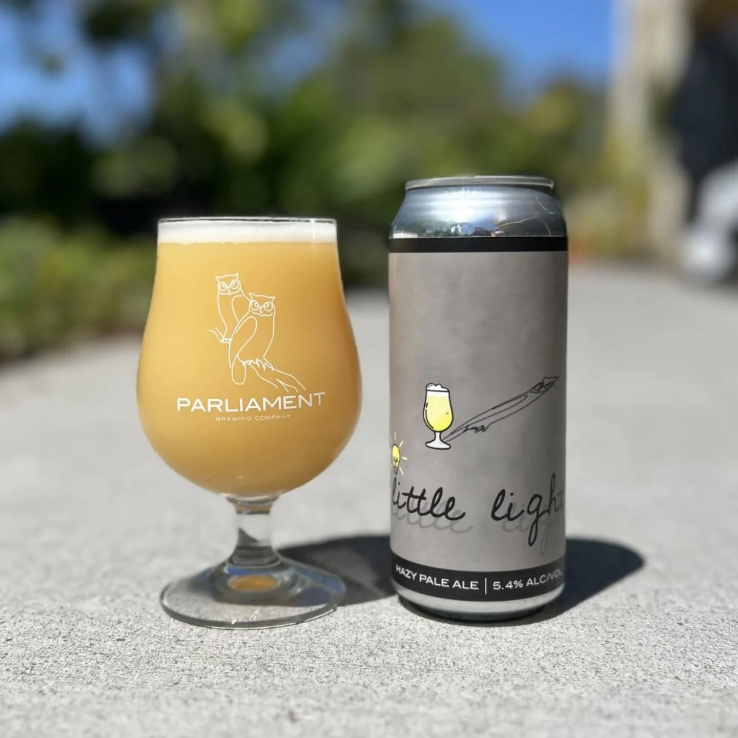 little light is back!

little light is a 5.4% hazy pale ale with nectaron, idaho 7, and waimea hops. this year we completely revamped the original recipe with some new school southern hemisphere hops &amp; took this beer to the next level! It's loa