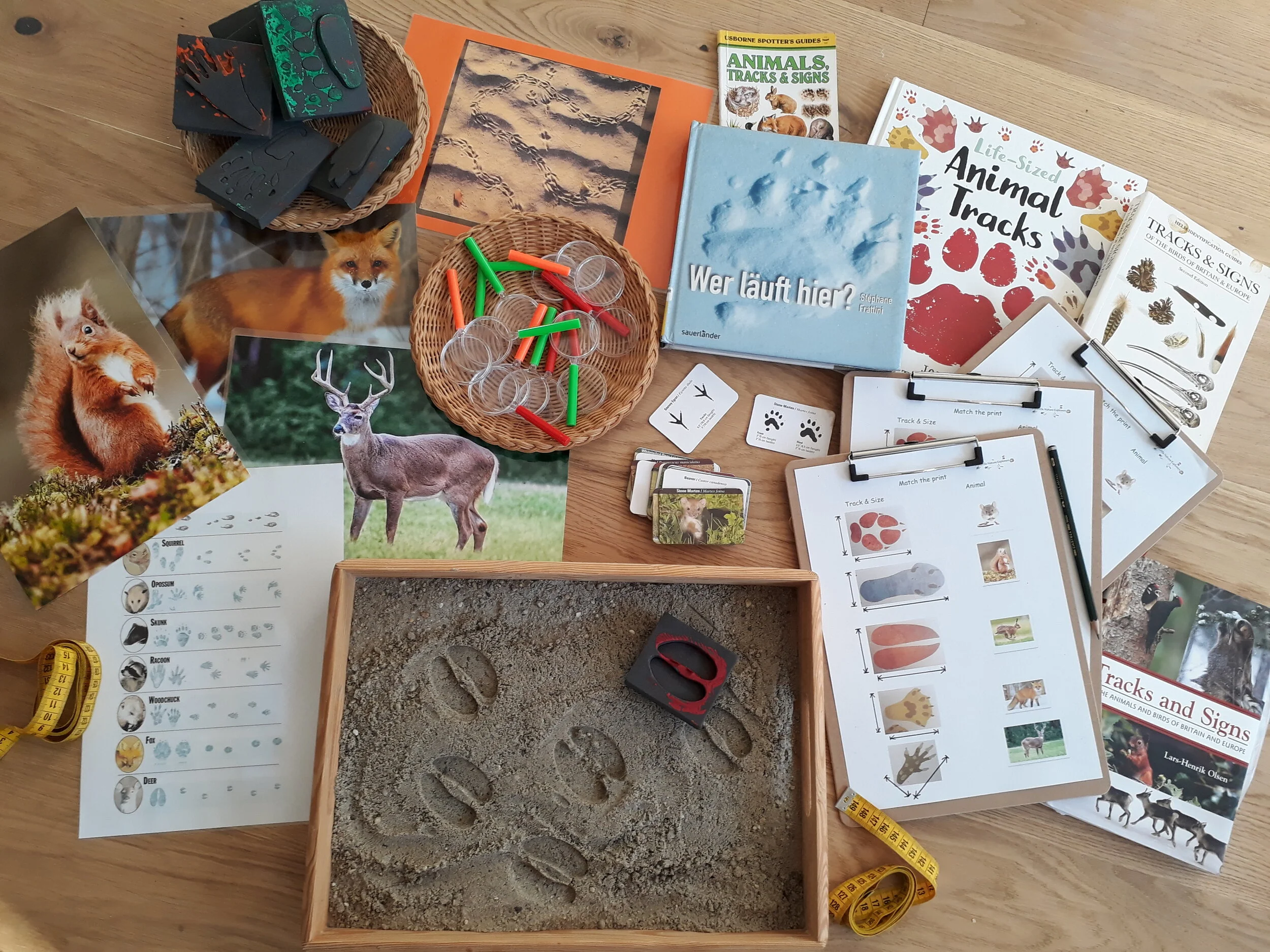 Animal tracks and trails