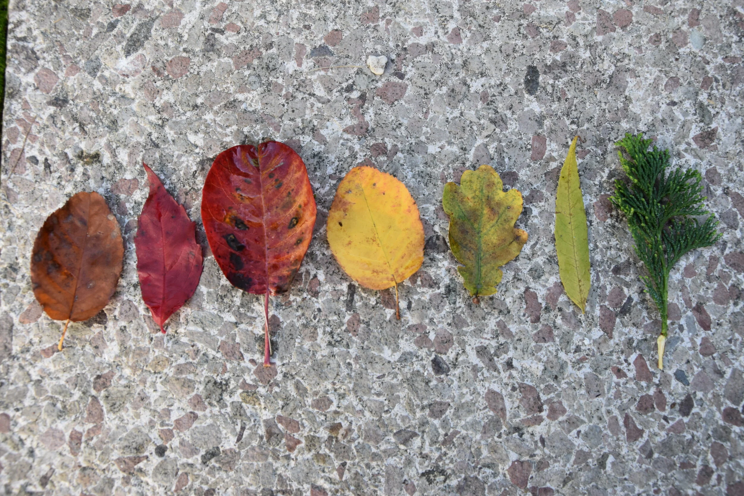 Nature colors, shapes & sizes