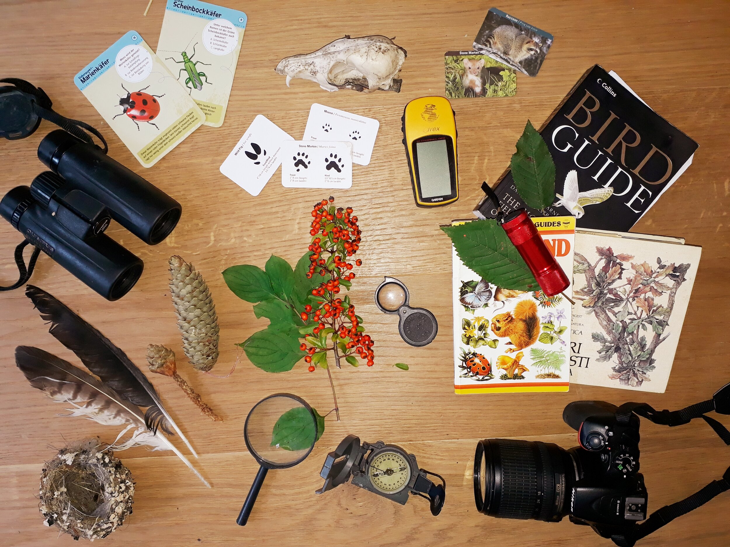 I want to be a naturalist!