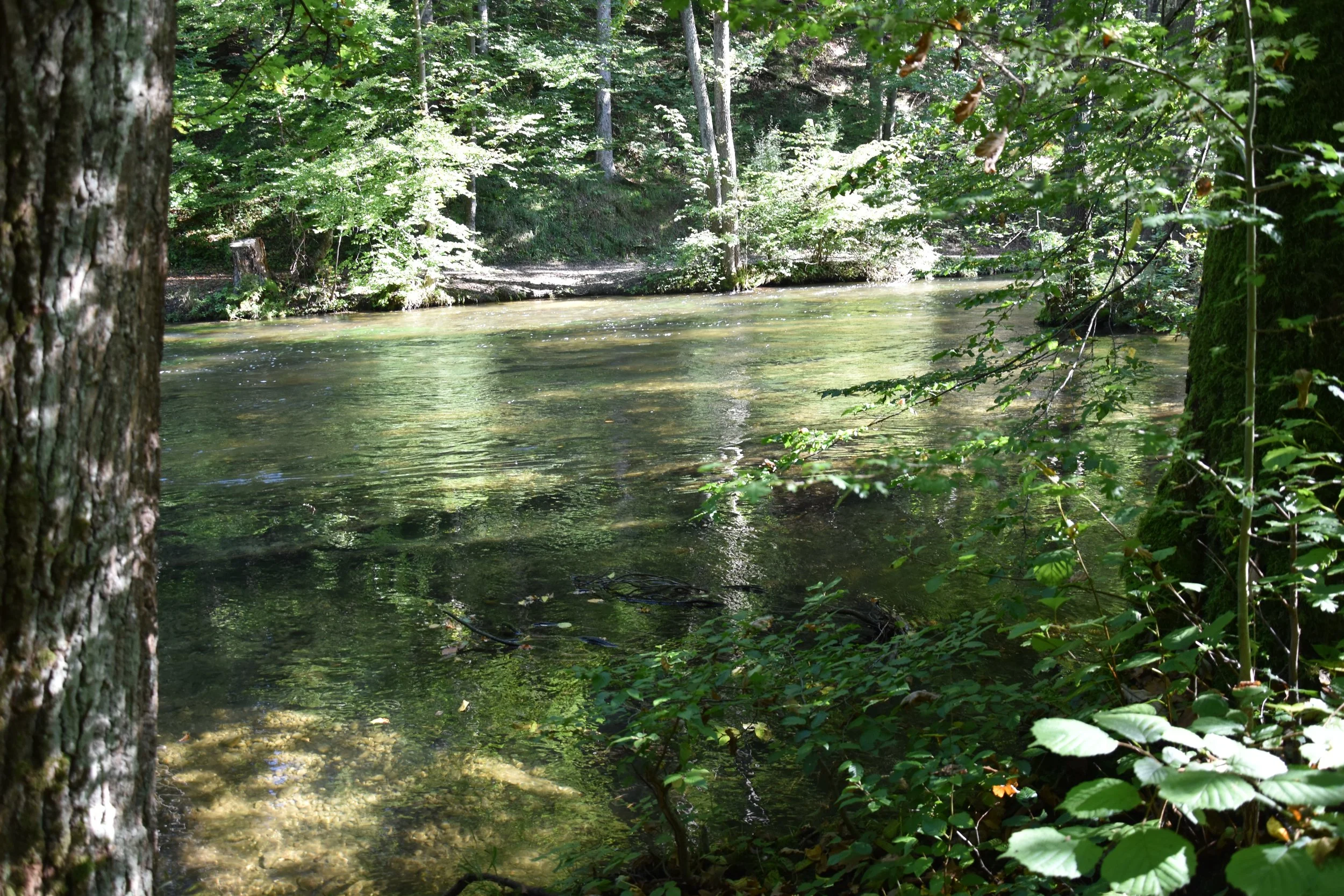 DSC_0121.JPG