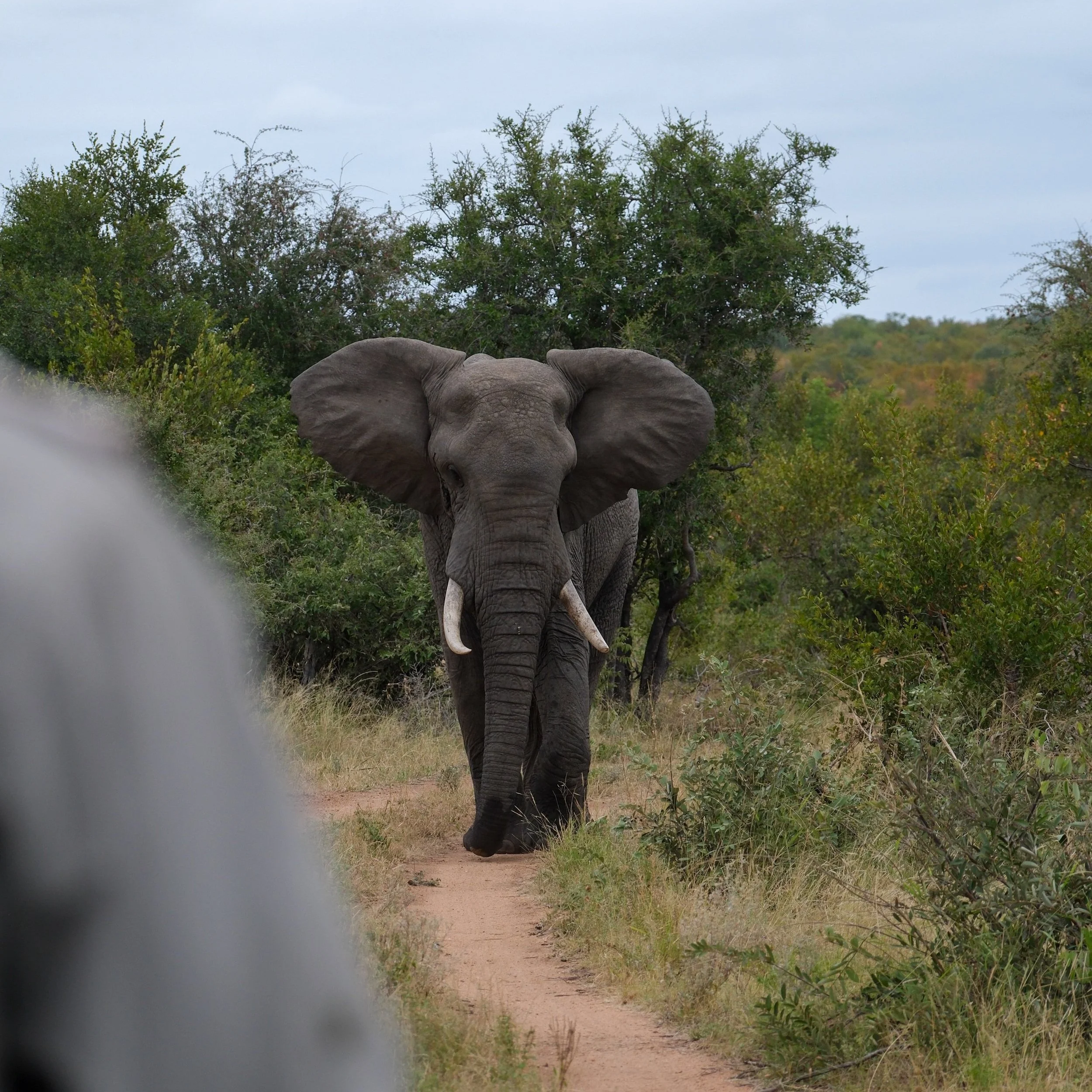 Africa - Coming soon