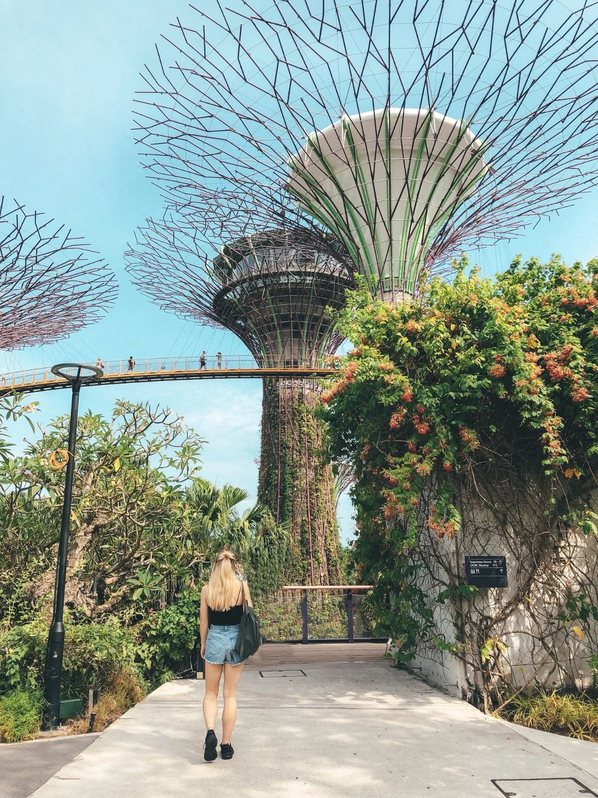Gardens by the bay singapore