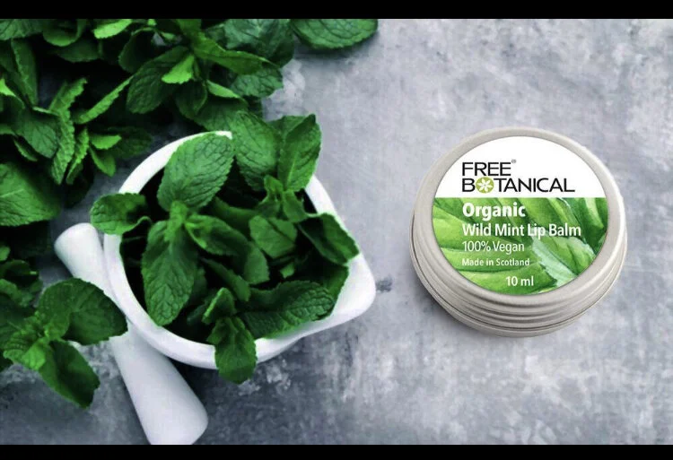 9143B115-1E5E-43A2-BD52-FAE54F732EB3