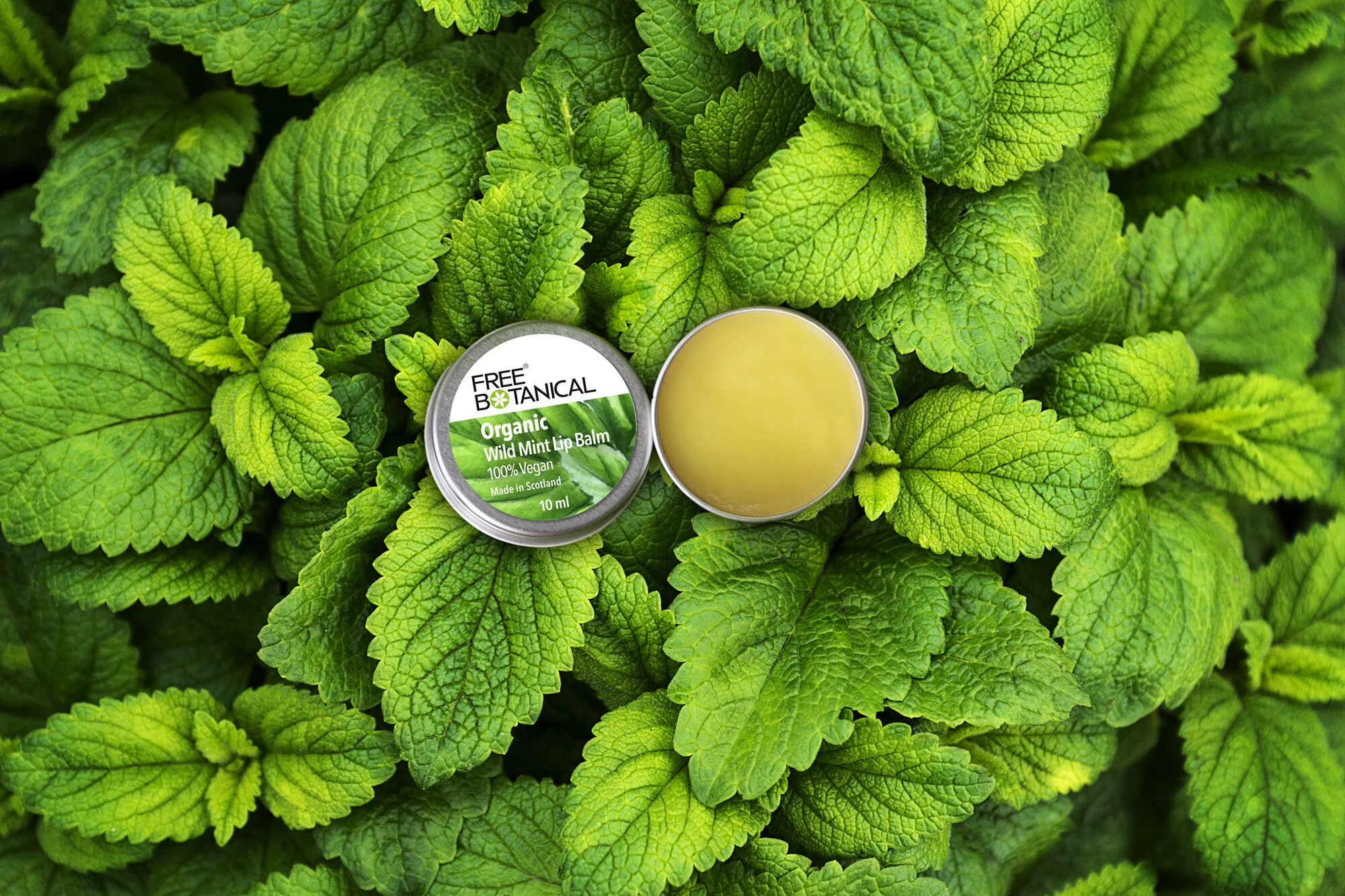 EA6B9048-13AB-457C-A6C2-604F8054DE30