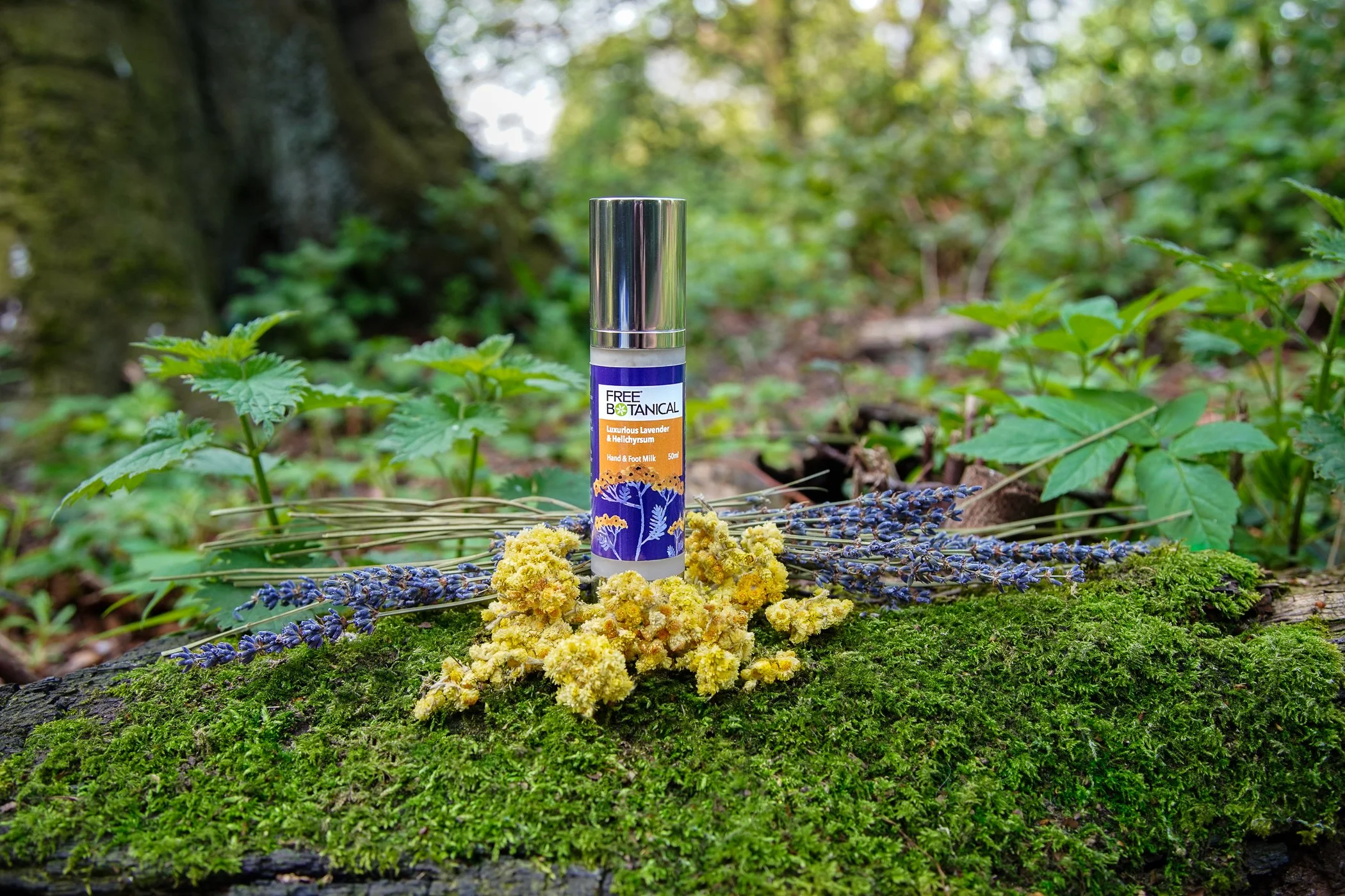 FreeBotHeroes (101 of 1).jpg