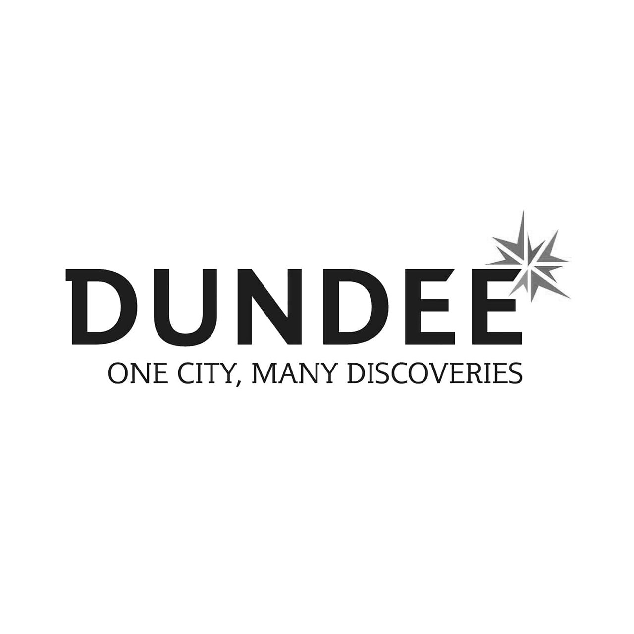 Dundee City Council.jpg