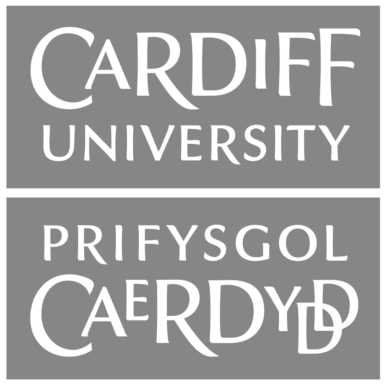 Cardiff Uni.jpg