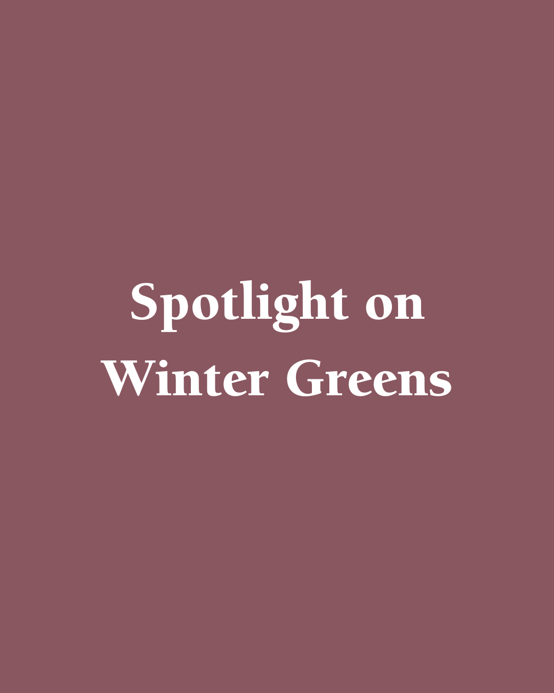 Spotlight on Winter Greens