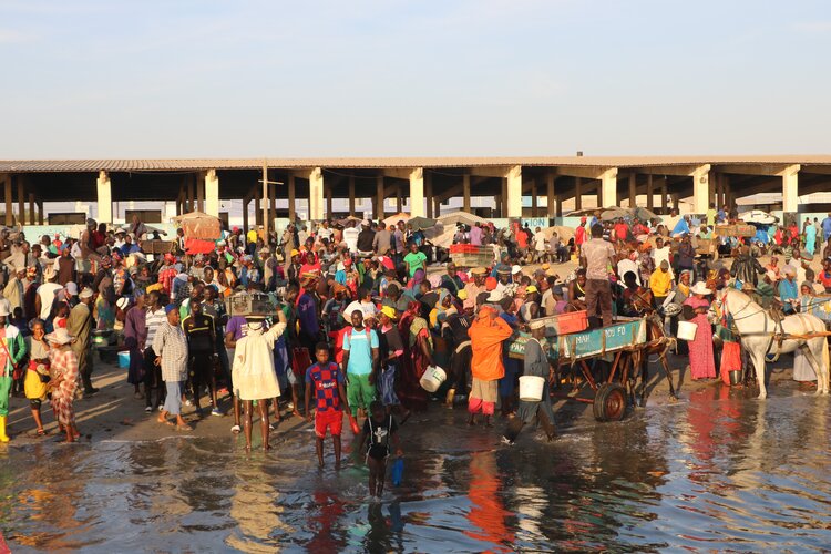 Au Sénégal, la sardinelle ronde était historiquement pêchée par des pêcheurs artisanaux pour la consommation humaine. / Photo : Aliou Diallo/REJOPRA