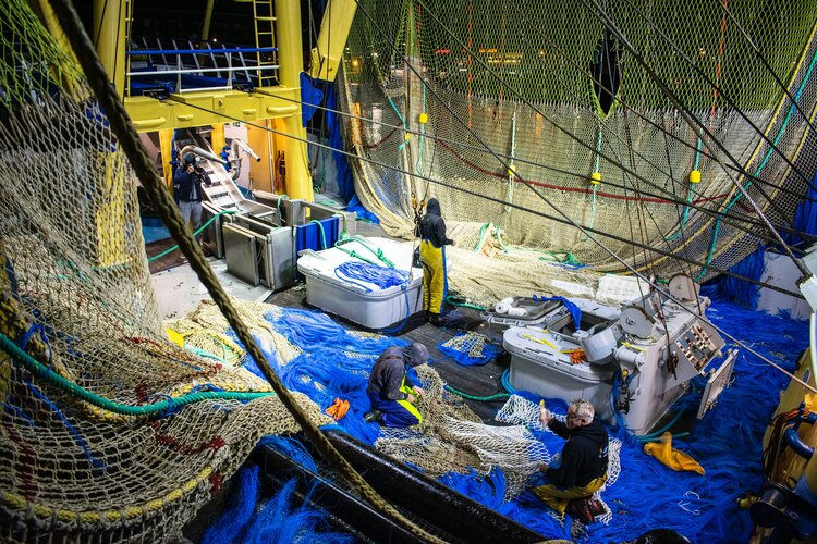 La réglementation de l'UE stipule une liste de critères, dont la durabilité, pour que les opérateurs soient autorisés à exercer des activités de pêche dans les pays tiers. Photo:  Paul Einerhand/Unsplash .