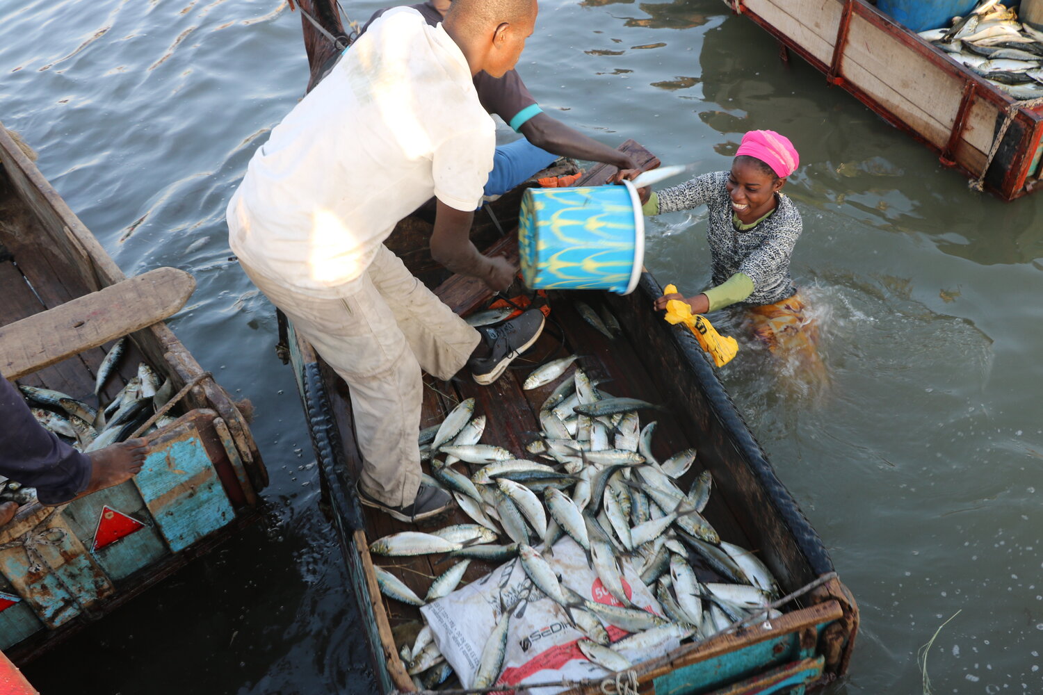 Océan : pour une pêche et une aquaculture durables