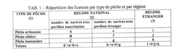 Capture d’écran d’un détail du modèle de rapport annuel sur les activités de pêche dans la ZEE de la Mauritanie, qui a pour but d’appliquer la clause de transparence et de vérifier l’évolution du reliquat. Source: obtenu au travers une source locale, les documents n’était pas encore disponibles en ligne.