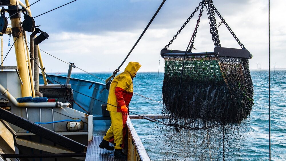 La clause de transparence est essentielle pour avoir de la visibilité sur l’effort total de pêche dans la ZEE de la Mauritanie et identifier un surplus potential. Elle est aussi nécessaire pour savoir si la Mauritanie applique effectivement la clause de non-discrimination. Photo: Paul Einerhand.