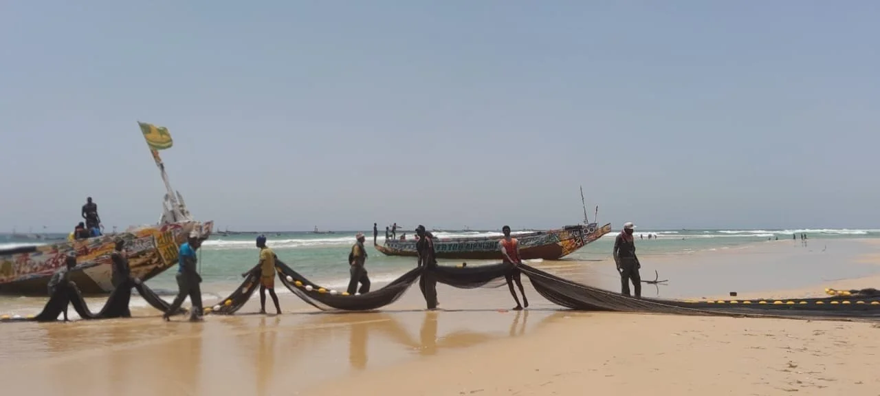 Conseils Locaux de Pêche Artisanale : le combat pour la préservation de l’écosystème maritime