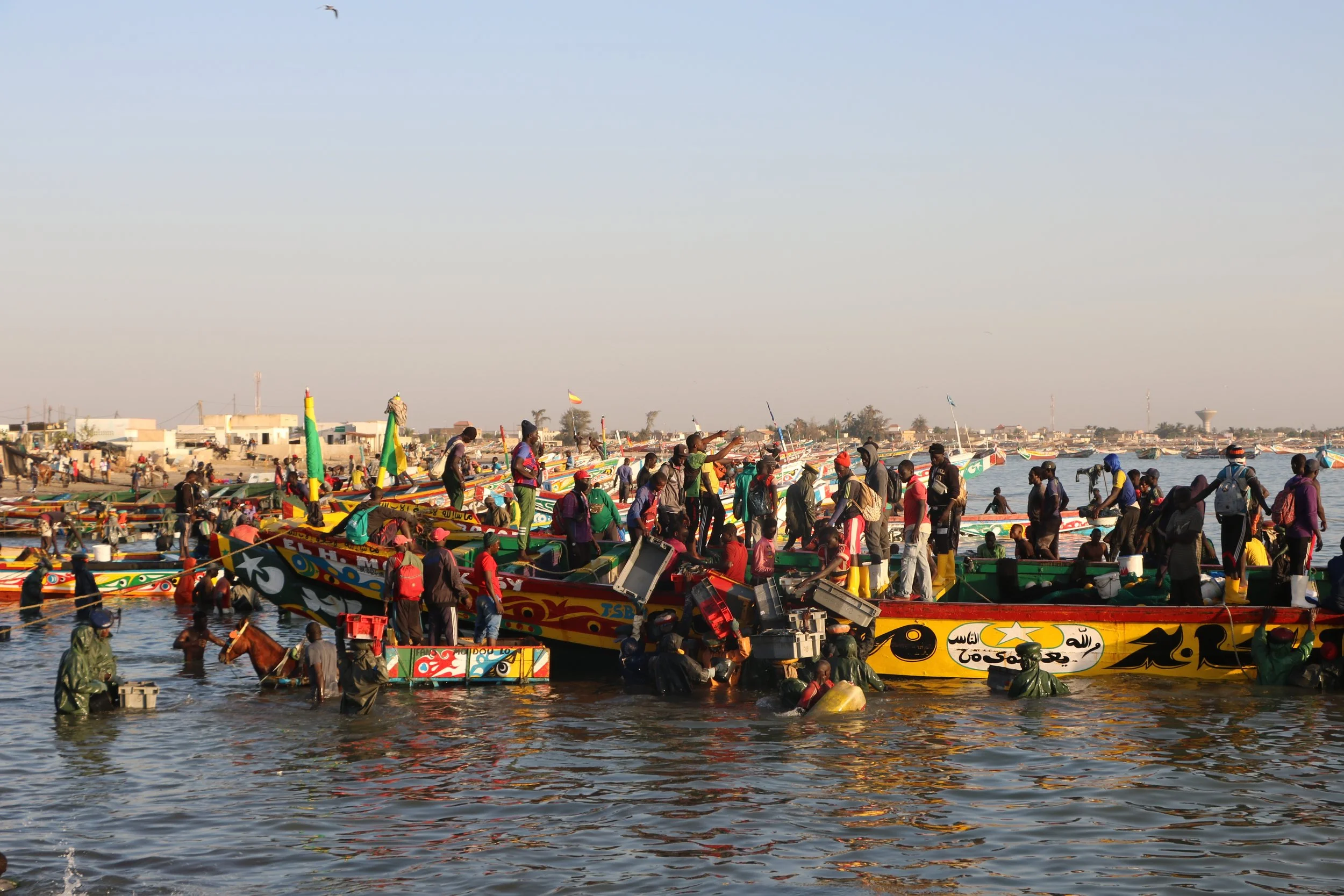 FiTI : une décennie après, une mer de possibilités devant nous