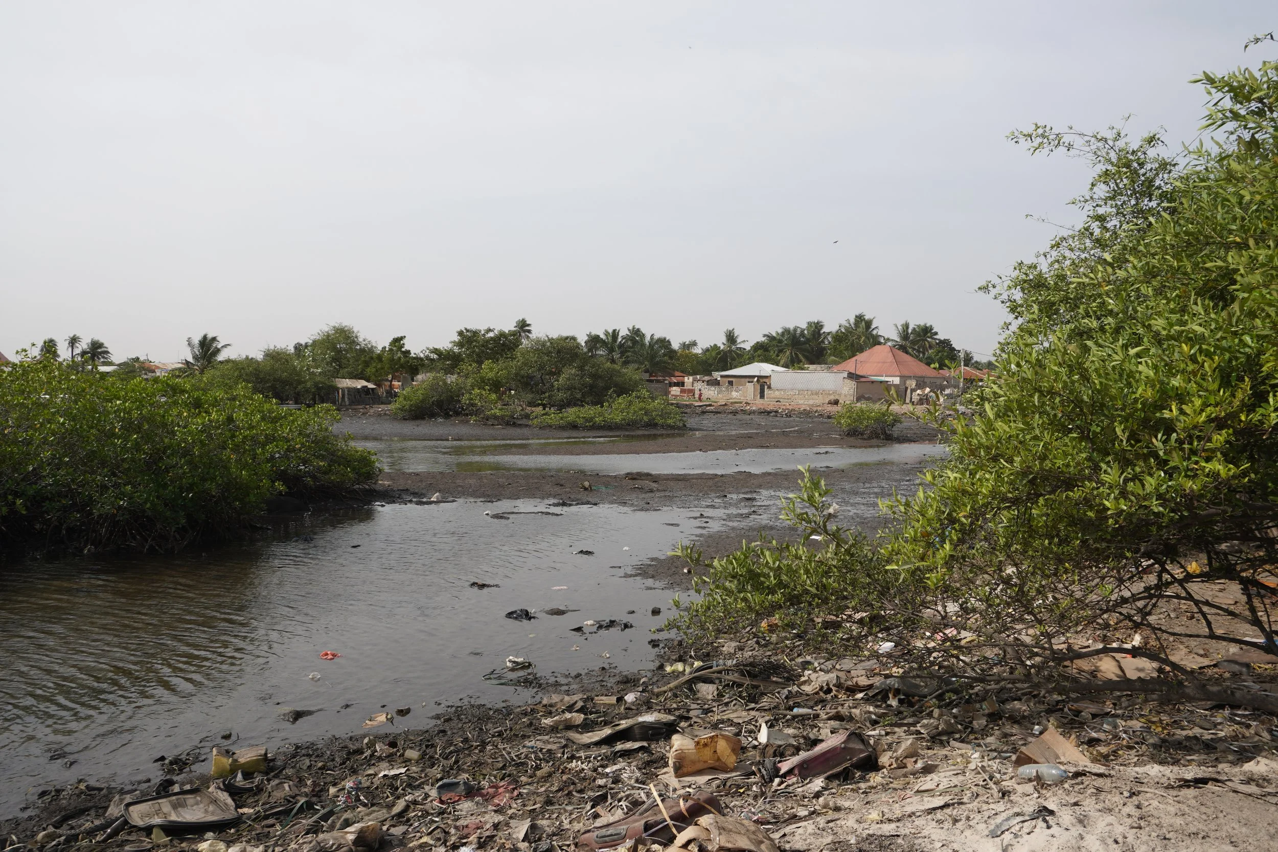  La baisse des précipitations couplée au phénomène de sédimentation a fait reculé le niveau de la rivière du site de débarquement d'Old Jeshwang. 