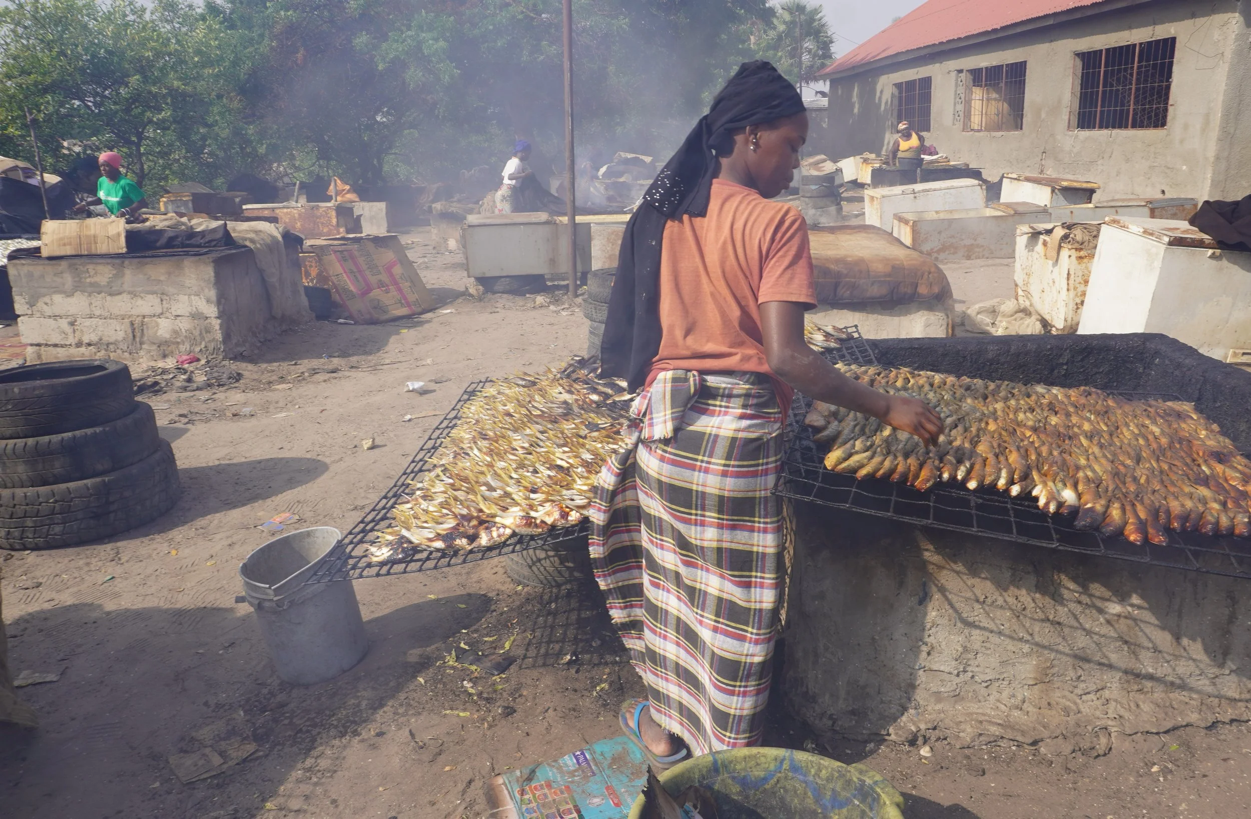  Khadidyatou Baro est entrain de fumer du  bonga . Face au manque de volonté politique, des femmes transformatrices de plusieurs pays d’Afrique de l’Ouest ont collectivement décidé qu’elles n’achèteraient plus de juvéniles issus de la pêche illégale.