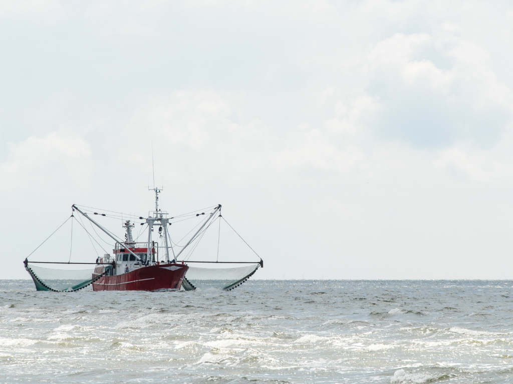 La transparence sur les bénéficiaires effectifs dans les pêcheries de l’OEACP: un engagement fort, une mise en œuvre encore timide