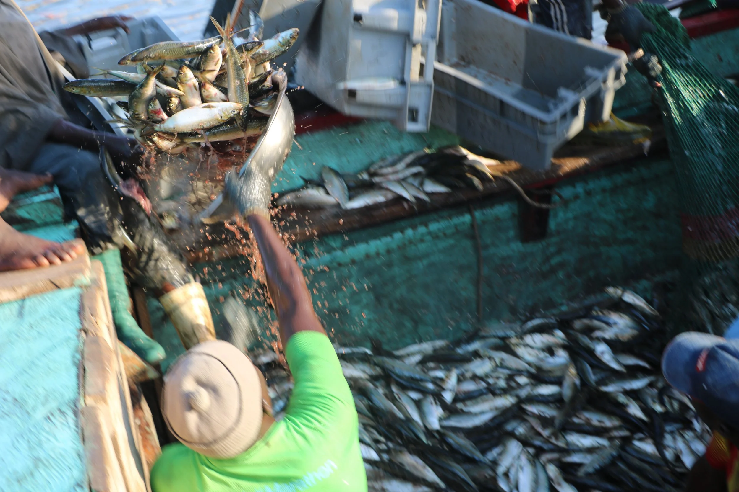 L'UE débat actuellement de sa politique de la pêche – l'Afrique devrait y prêter attention