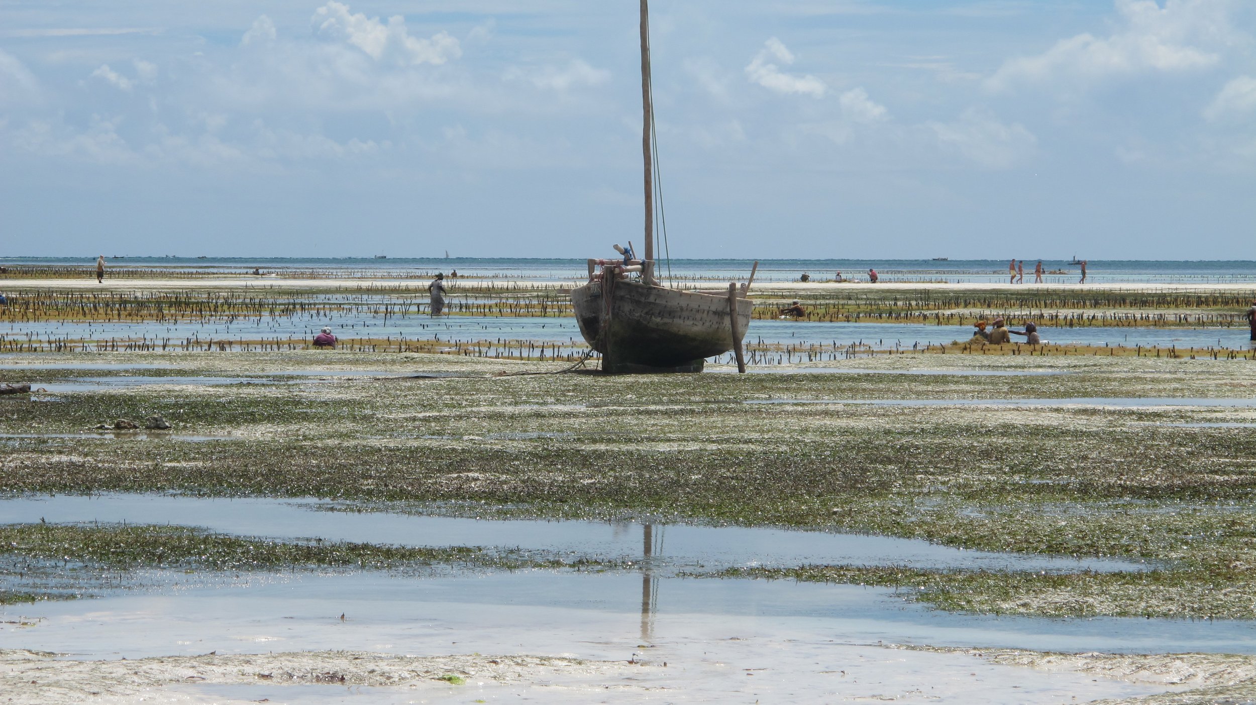 Les pêcheries artisanales représentent jusqu’à 50% des captures de thon dans l’océan Indien