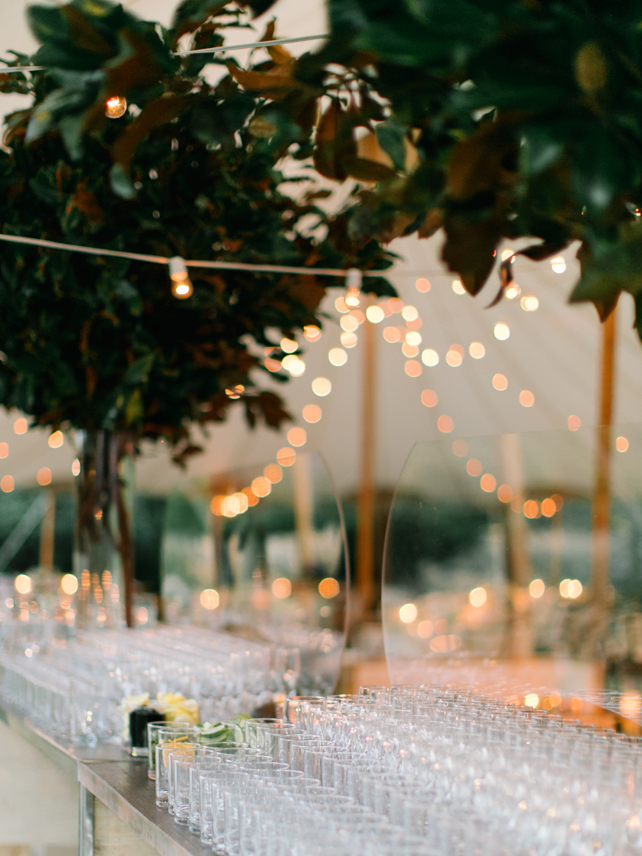Reception-31.jpg