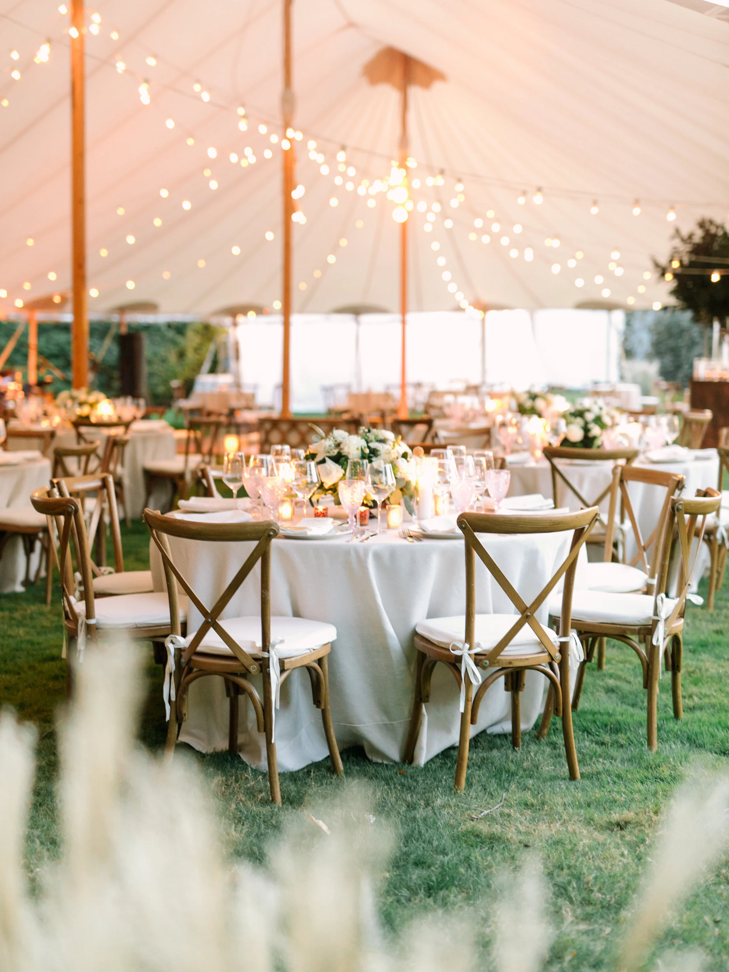 Reception-49.jpg