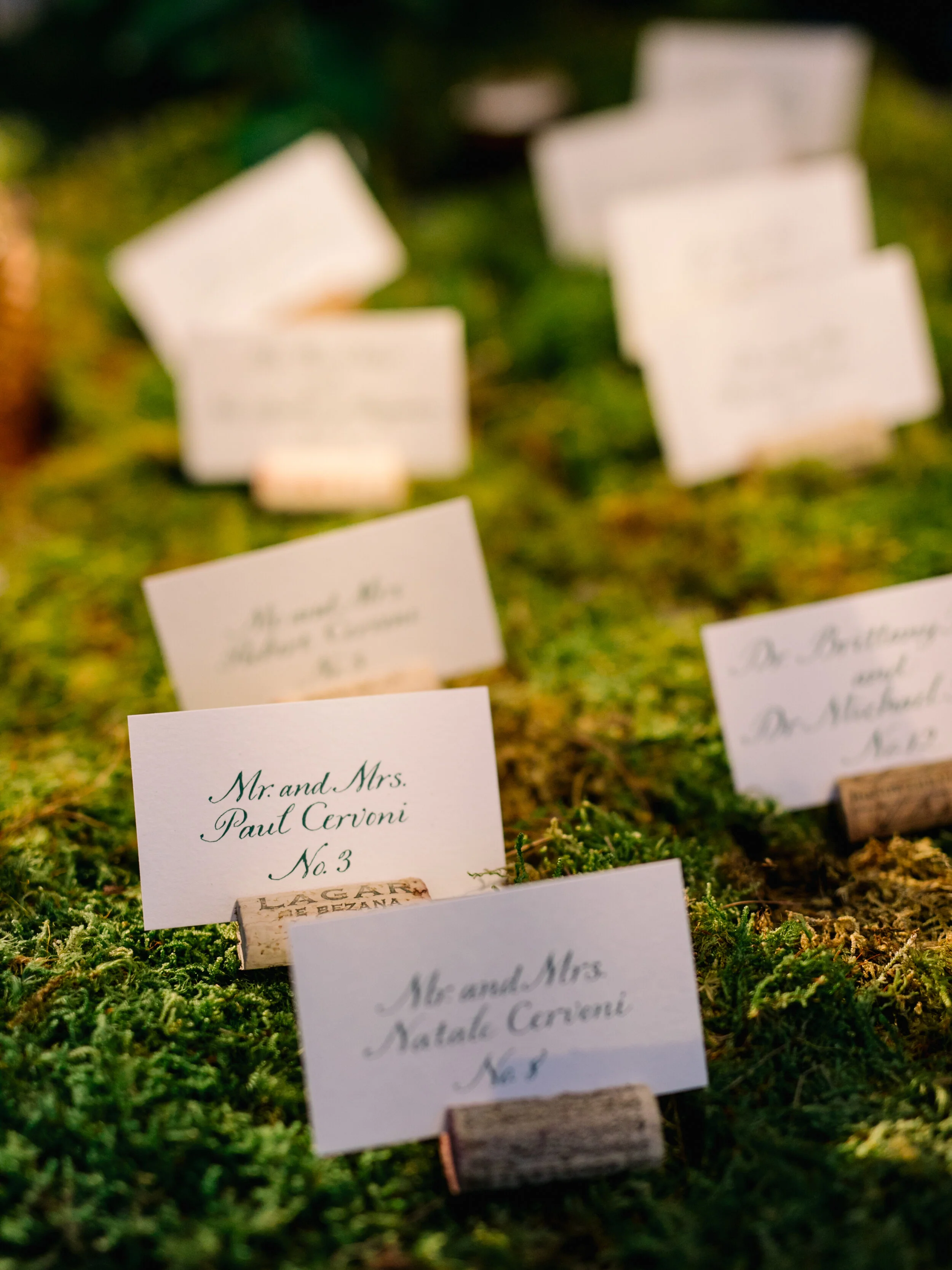 Reception-57.jpg