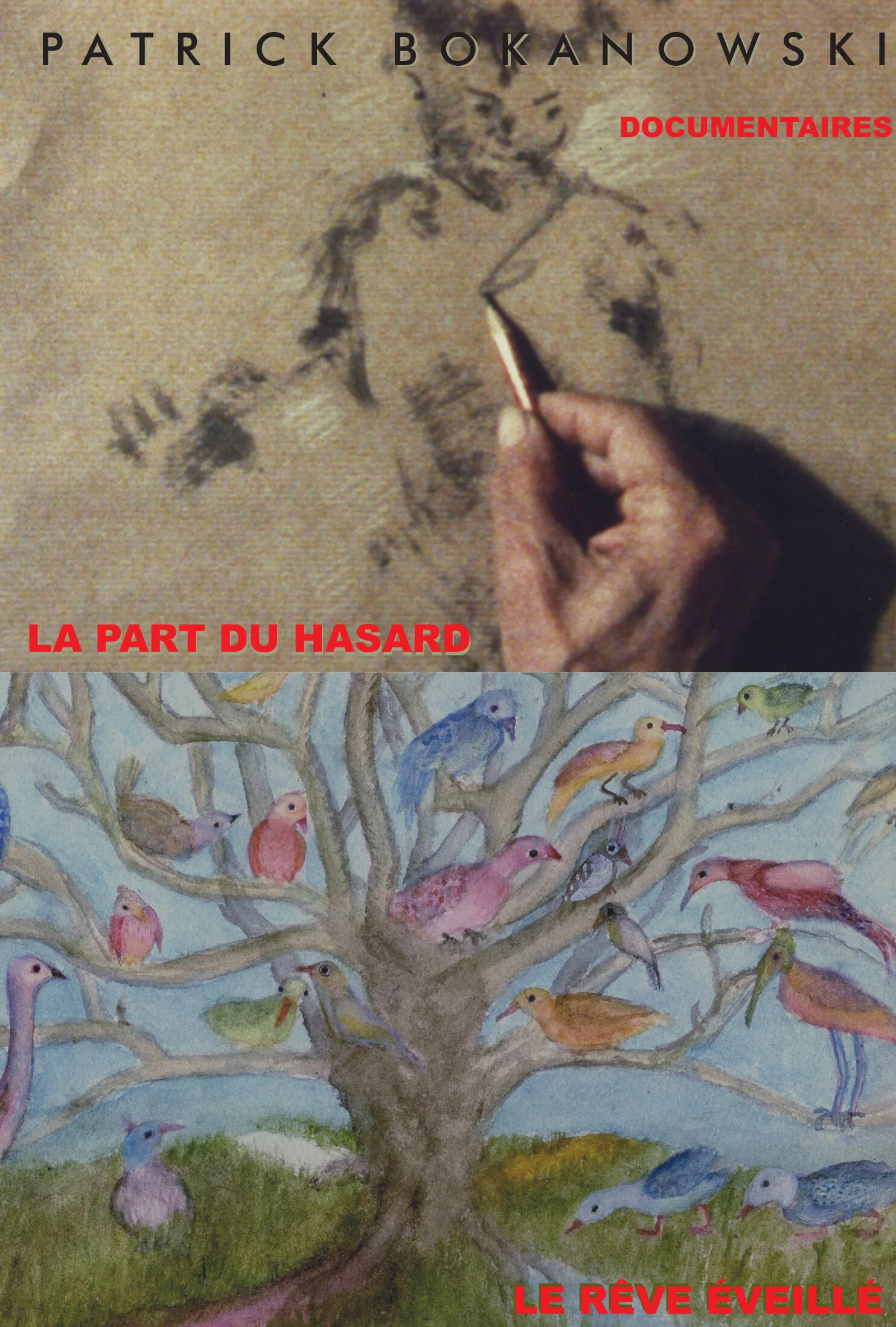 Patrick Bokanowski - Documentaries
