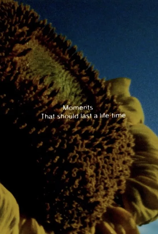 R. Bruce Elder - The Book of All the Dead (Region One)