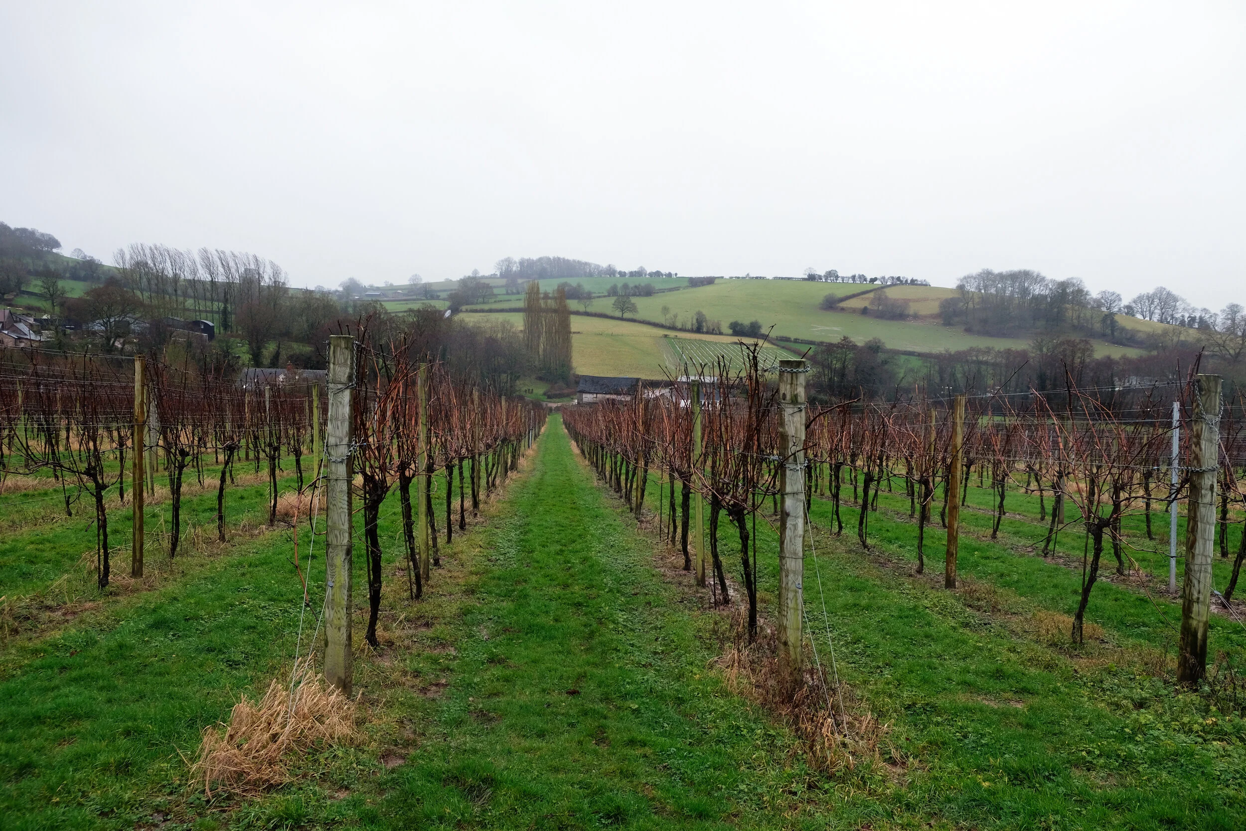 Discovering Wales: Where to eat and drink in Monmouthshire