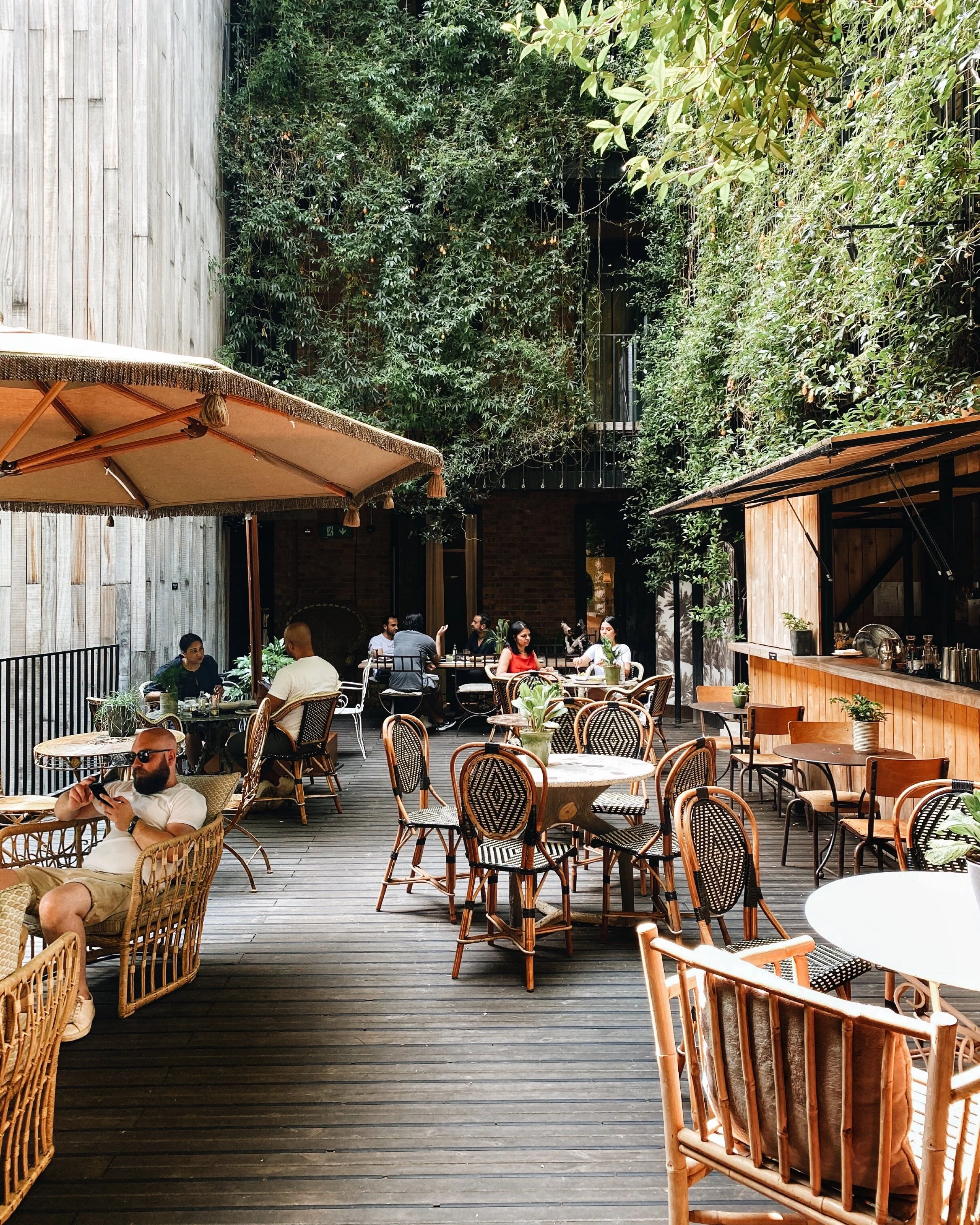 Eat in September: YOPO, Ziggy Green, The Cut