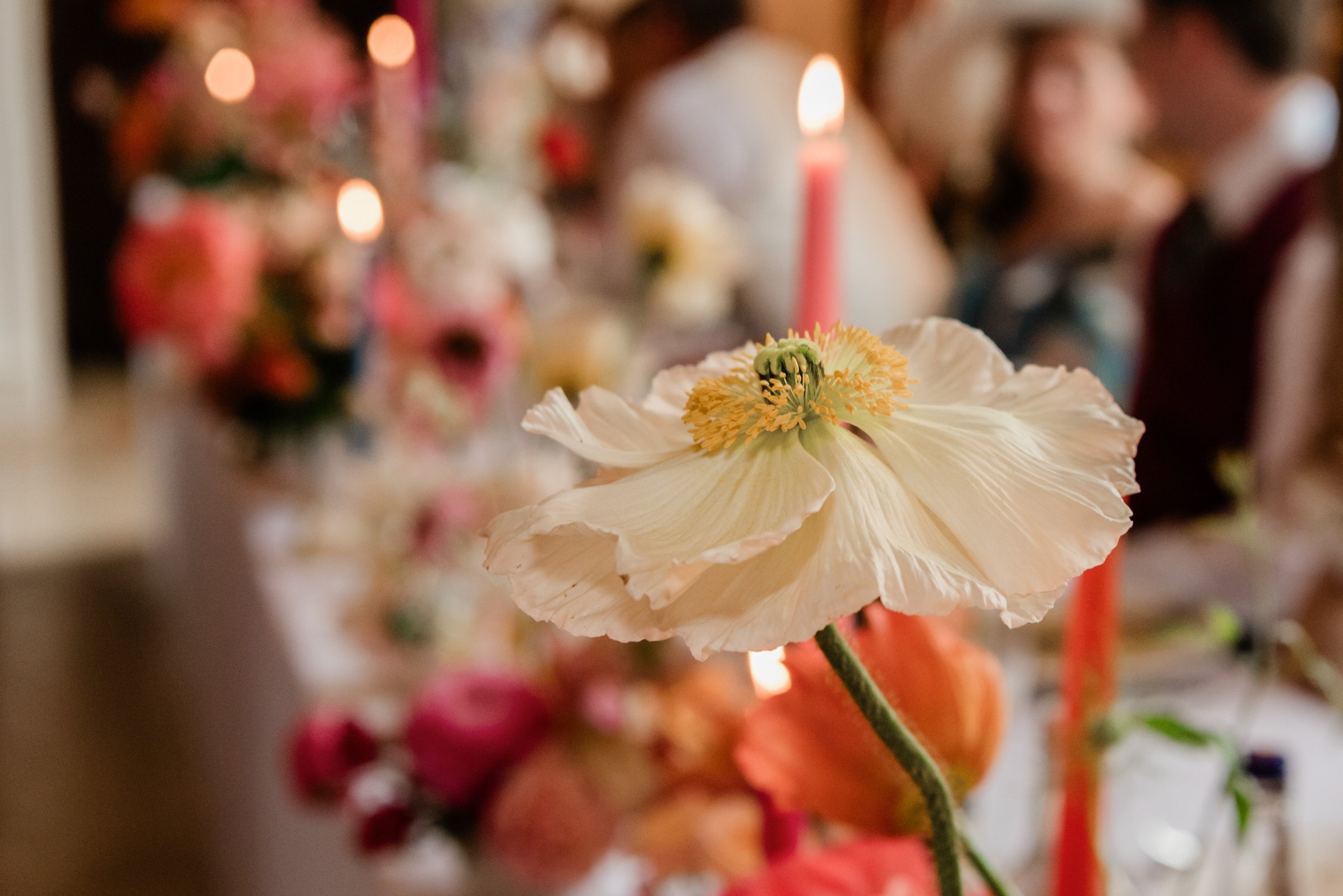 Mr  Mrs Brooke 654 of 1059.JPG