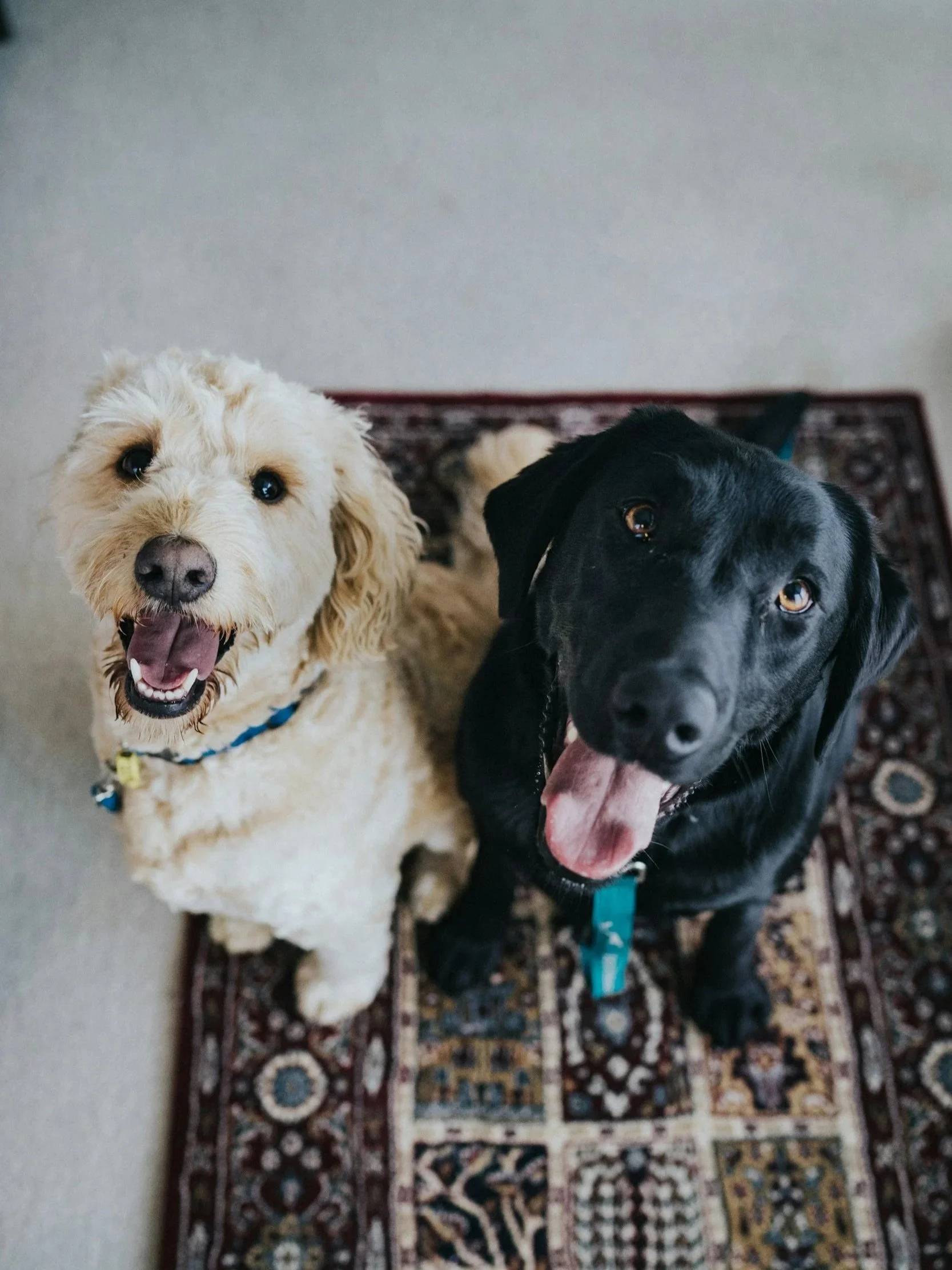 What went right in August? Sparking Joy