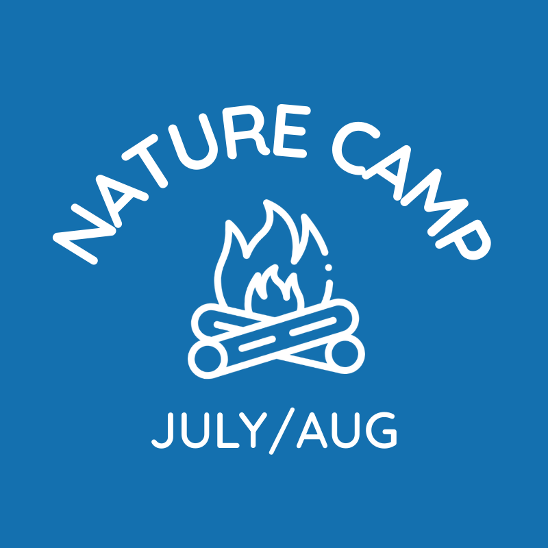 Larchwood Farm Therapeutic Nature Camp