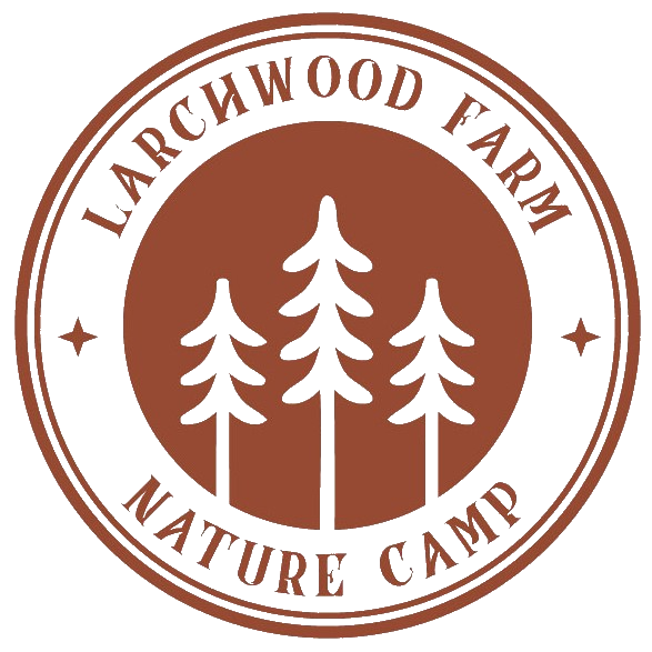 camp-logo.png