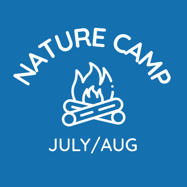 Blue camp logo with white text reading "Nature Camp" and "July/Aug" beneath a line drawing of a campfire.
