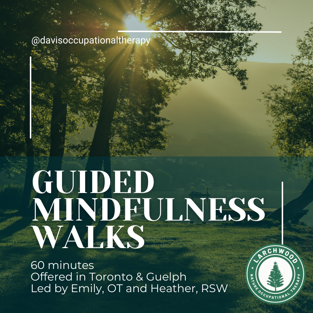 A promotional flyer for guided mindfulness walks featuring a serene park scene with sunlight filtering through trees, offering 60-minute walks in Toronto and Guelph led by Emily, OT, and Heather, RSW, with Larchwood logo.