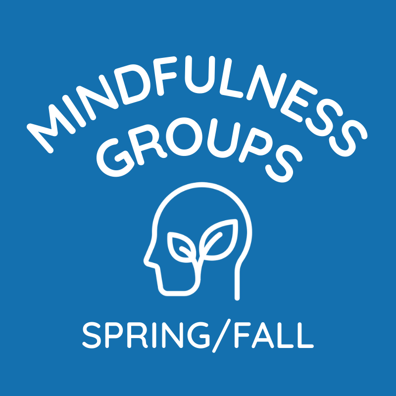 Blue background with white text reading 'Mindfulness Groups Spring/Fall' and a simple line drawing of a person's head with a leaf inside.