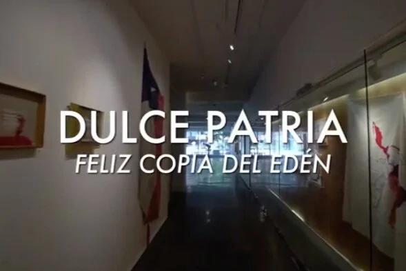 Martín Eluchans