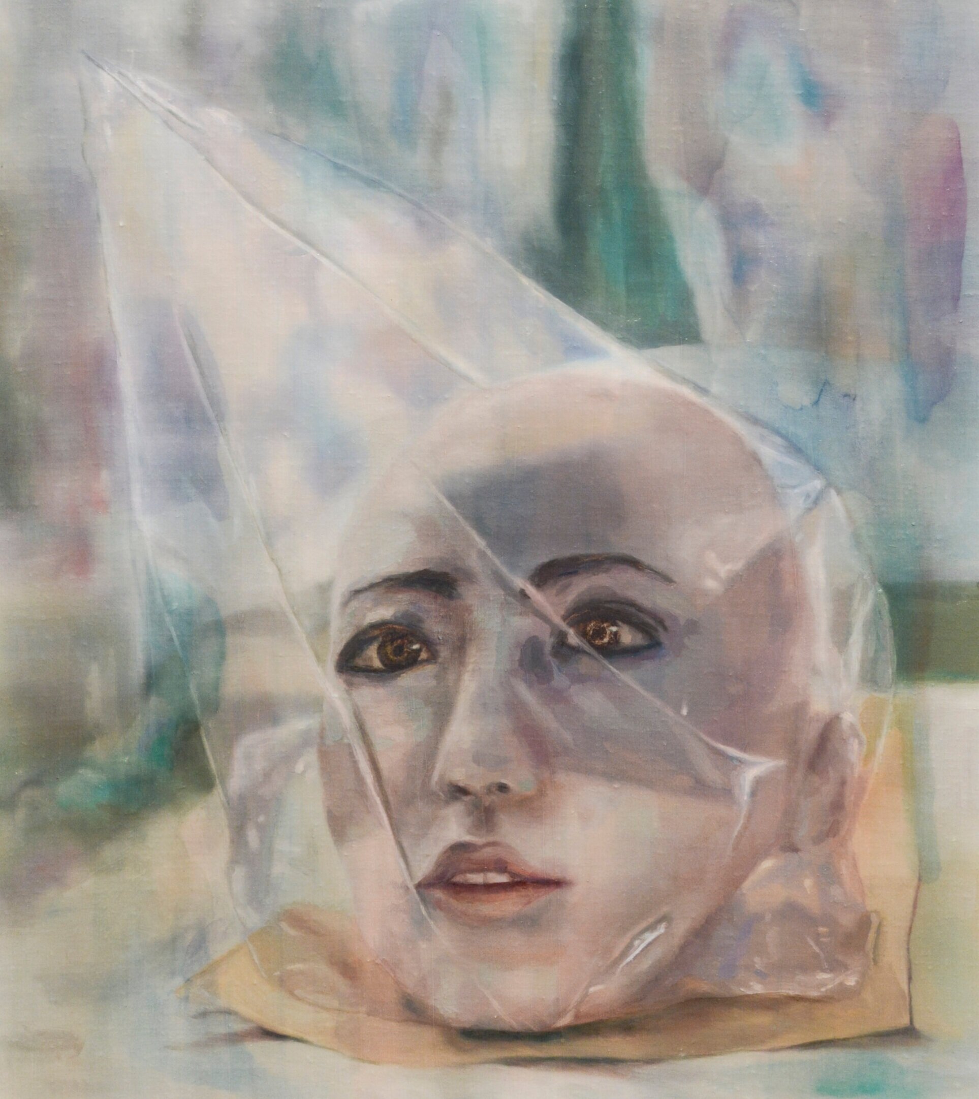 Postergación Exhibición Mariana Najmanovich en MNBA