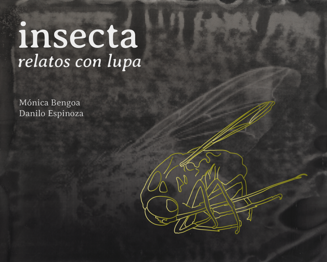 "Insecta" de Mónica Bengoa en  U. de Talca en Santiago