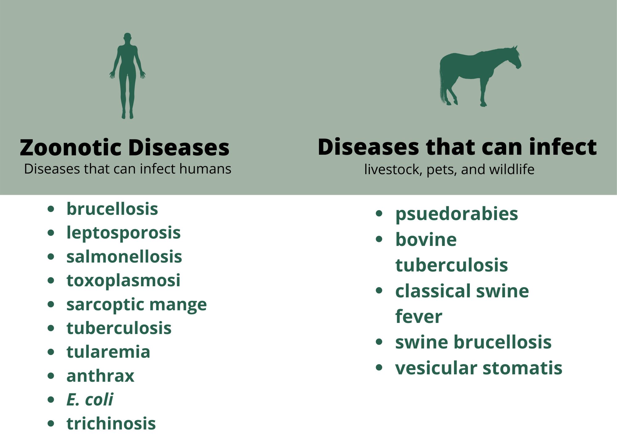 Disease Risk — Feral Swine