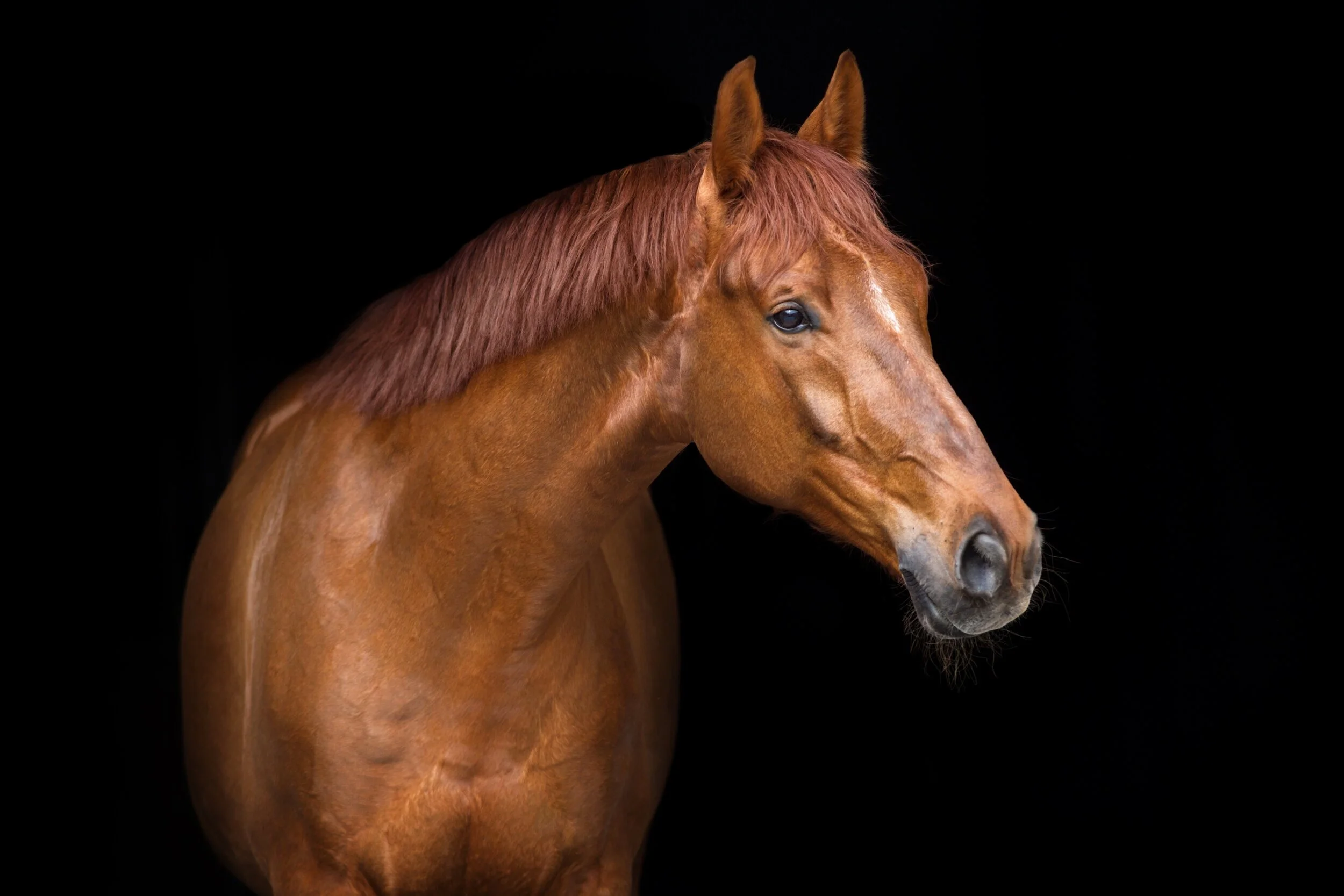 iStock-908981512.jpg