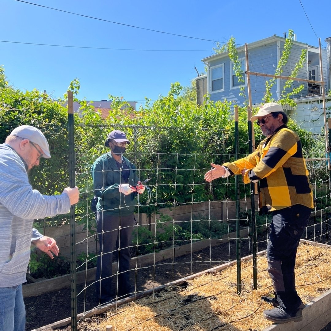 Sunny days are here at Nicholson! We love having volunteers help out - it's a great way to get involved with The Nicholson Project.

&mdash;
ID: Image of volunteers from Monica Jahan Bose's Sari project community engaged in planting and tending to th